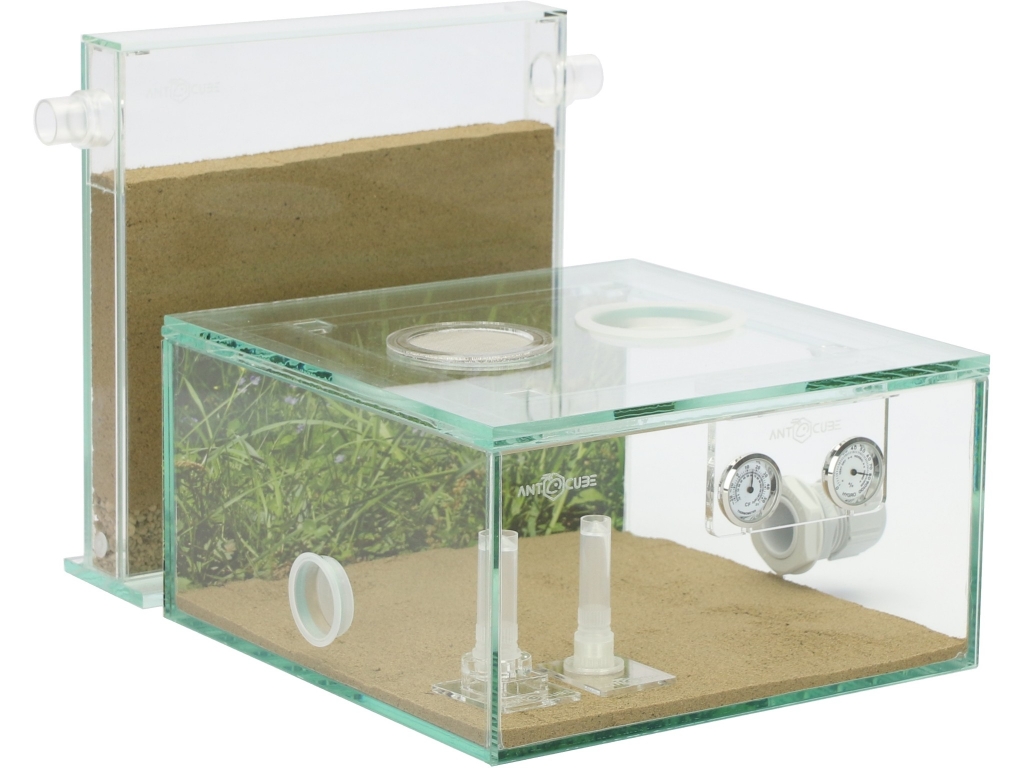 ANTCUBE Starter Kit L - 20x20 - Meadow